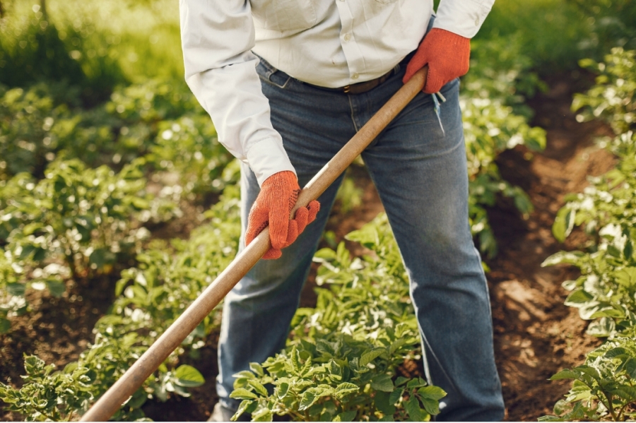farmer