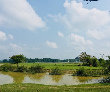 WOTUS_grazing near water