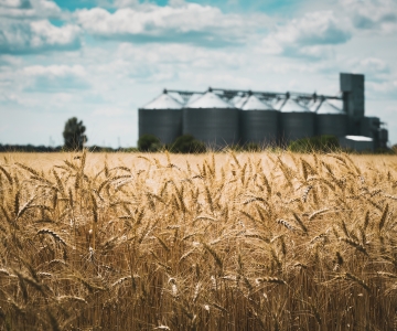 Grain Bin