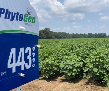 Corteva PhytoGen