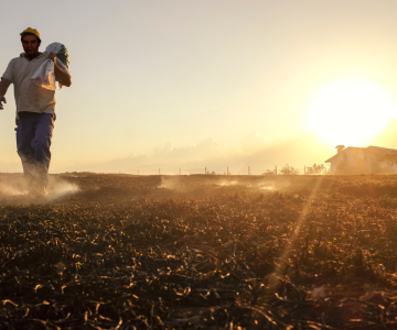 Worker in Field