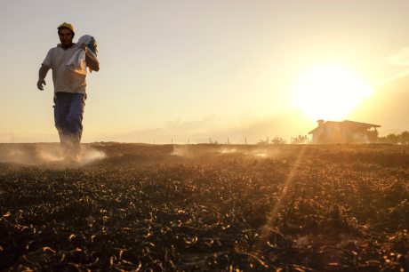 Worker in Field